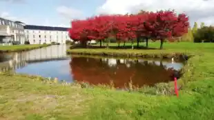 Mercure Chantilly Resort & Conventions
