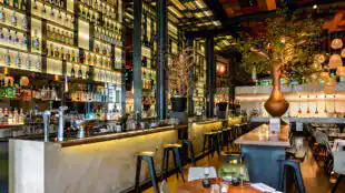 Vanrijn bar