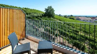 Best Western Hôtel & SPA le Schoenenbourg