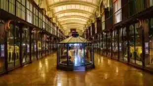 Grande galerie de l’évolution