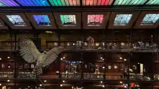 Grande galerie de l’évolution