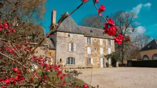 Domaine de la Cour