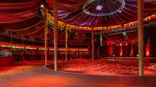 cabaret sauvage