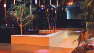 Palmeraie 2