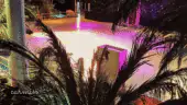 Palmeraie 4 - La Palmeraie