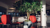 Athena Spa Strasbourg