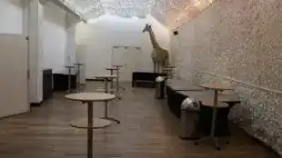 MAS