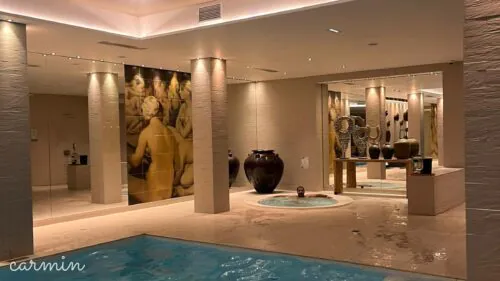 Best Western Plus Hôtel & Spa de Chassieu