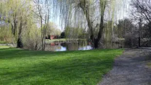 Domaine les Epinettes