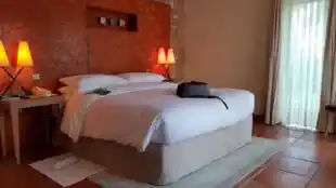 Terre Blanche Hôtel Spa Golf Resort