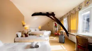 Mercure Moulins Centre - Hôtel de Paris