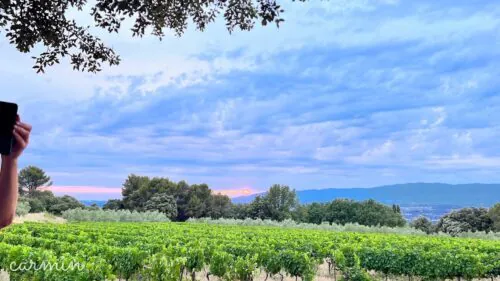Domaine les Perpetus