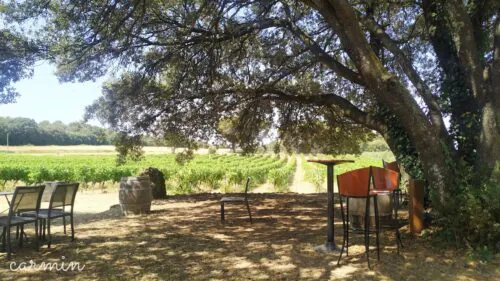 Domaine les Perpetus