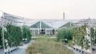 La Serre 1