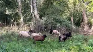 Les Clés de la Ferme