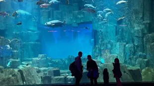 Aquarium de Paris