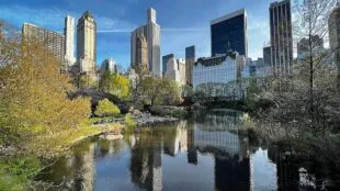 Central Park