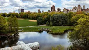 Central Park