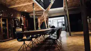 Le Loft Atypique