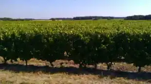 La Grange Des Barres