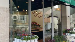 PACHECO - Artisan fleuriste, atelier et coworking