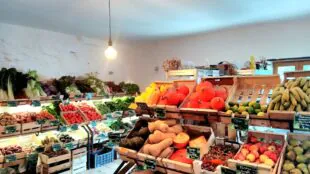 Ferme Bio Croq'Champs - Production, grand gîte et épicerie vivante