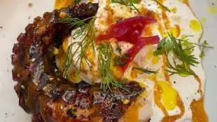 Restaurant Plume
