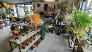 LAB aux fleurs