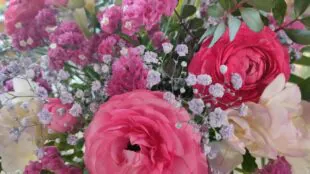 LAB aux fleurs