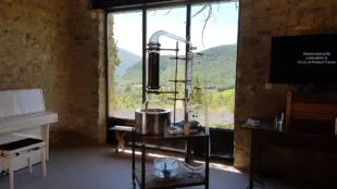 L'Essentiel de Lavande