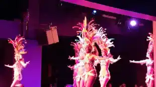 Brasil Tropical