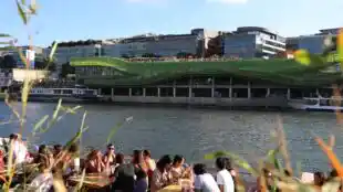 Barapapa