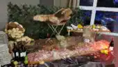 Bacchus Events