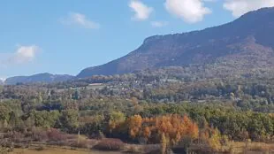 Le Chantemerle