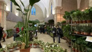 La Chapelle Des Ducs