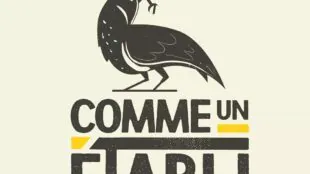 Comme Un Établi
