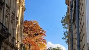 Coworking-Héméra Jardin Public