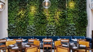The Hoxton - The Hoxton