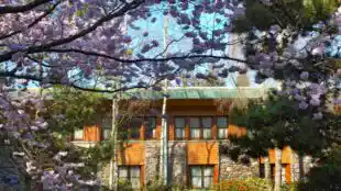 Disney Sequoia Lodge