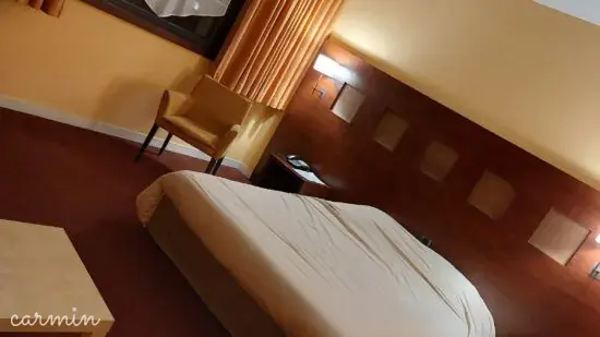 Logis Hôtel de Loire Rest. les Bateliers