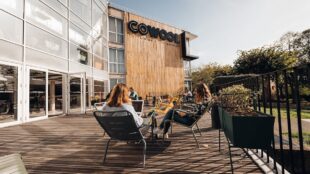 Cowool Cergy