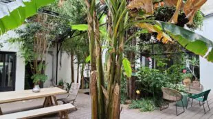 The Island - Coworking, Bureaux, Salles & Patio végétalisé