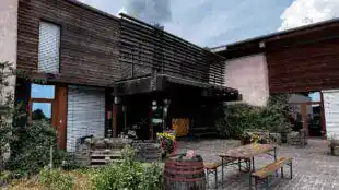Achillée