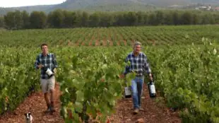 CHATEAU VANNIERES
