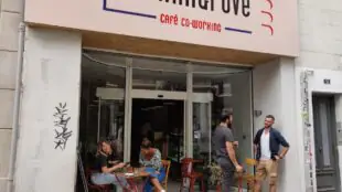 Le Mangrove