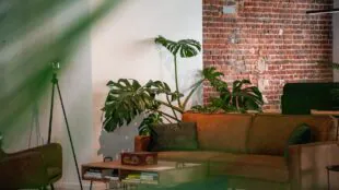 Atelier 15 - Coworking Brussels