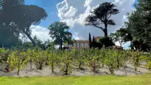 Domaine Beausoleil - Séminaires au vert, Réunions, , événements Toulouse Blagnac