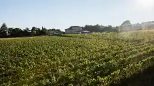 Domaine Meryt