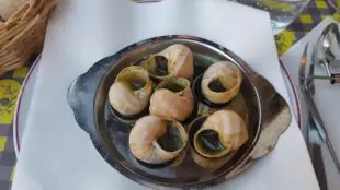 L' Ancienne Douane