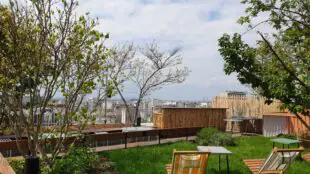 rooftop hotel paradiso